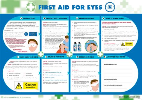 First Aid For Eyes Poster 840mm X 590mm Eyecare Posters Safety
