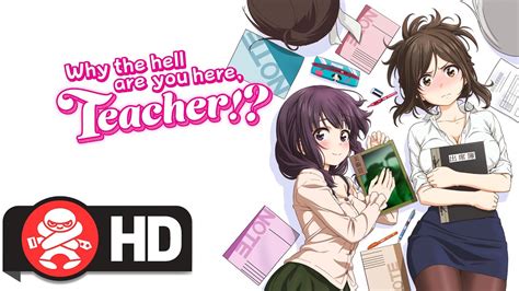 why the hell are you here teacher complete series available august 5th youtube