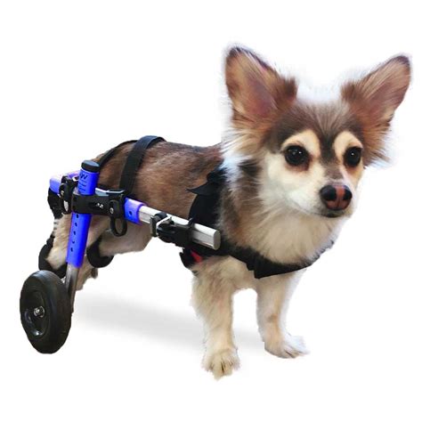 Shirube特別価格dog Wheelchair For Back Legs Wheels Adjustable Wheelchair