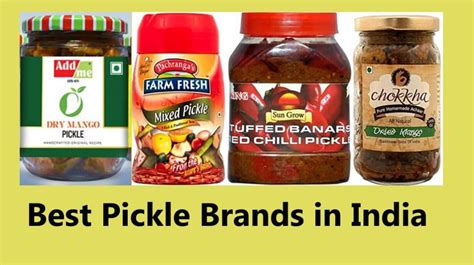 What is the best dill pickle brand? Most Popular And Best Pickle Brands In India 2021