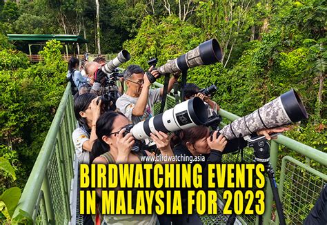 Bird Watching Events In Malaysia 2023 Bird Watching Asia