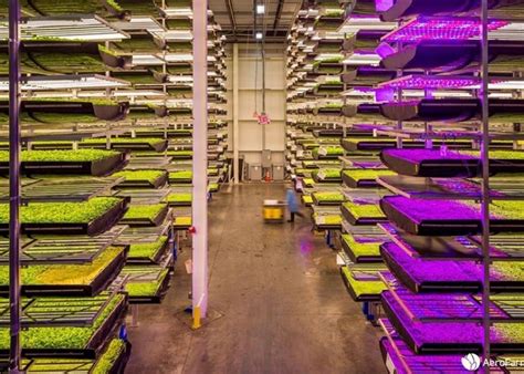 Aerofarms To Expand Its Indoor Vertical Farms Into The Midwest The Packer