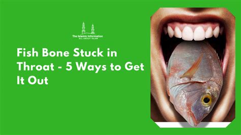 5 Easy Things To Do If Fish Bone Stuck In Throat