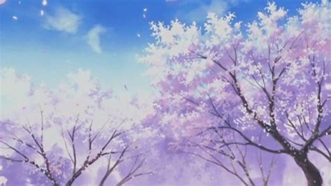 Aesthetic Cherry Blossom Background 1280x720 Download Hd Wallpaper