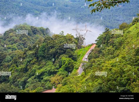Wayanad Forest Hi Res Stock Photography And Images Alamy