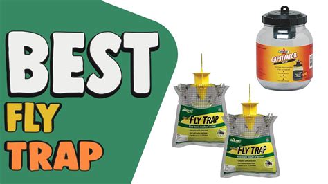 Best Fly Trap In 2021 Top 7 Hottest List Youtube