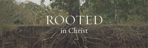 Rooted In Christ — Beautiful Savior Lutheran Church