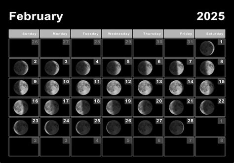 Febrero 2025 Calendario Lunar Ciclos Lunares Fases Lunares Foto Premium