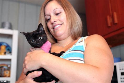 Stacey Pulsifer Kitten Rescued After Surviving 100 Miles Trapped On The Back Of A Womans