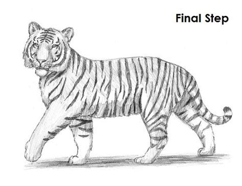 A Drawing Of A Tiger With The Words Final Step