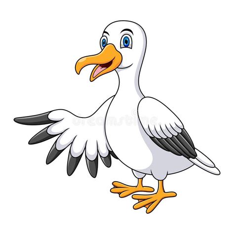 Cartoon Funny Seagull Presenting Isolated On White Background Stock
