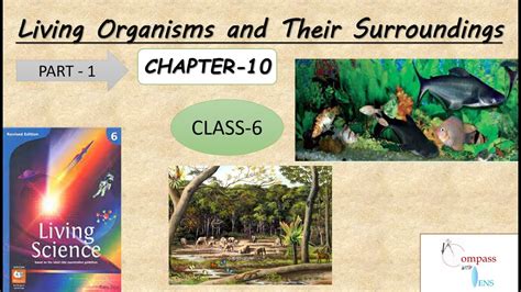 Living Organisms And Their Surroundings Chapter 10 Class6 Living