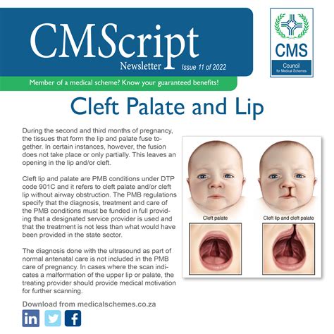 Cmscript 11 Of 2022 Focus On Cleft Palate And Lip Council For