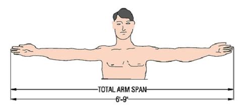 Average Human Standing Posture Dimensions Required In Interior Design