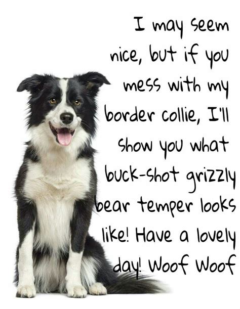 Thats Right Border Collie Border Collie Humor Collie Dog