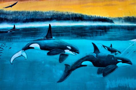 Orcas Passage Mural By Wyland In Indianapolis Indiana Encircle Photos