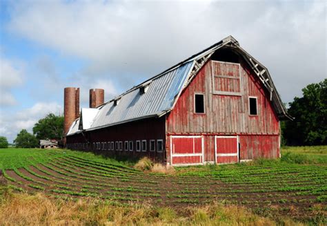 11 Farms In Mississippi That Will Make You Love The Country