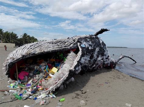 A Giant Beached Whale Illustrates The Plastic Pollution Problem