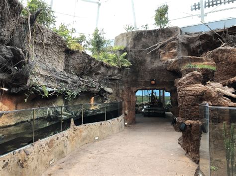 Enclosures Inside The Scaly Slimy Spectacular Exhibit Zoo Atlanta