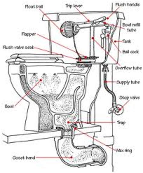 How To Stop A Running Toilet A Beginner S Guide Dengarden