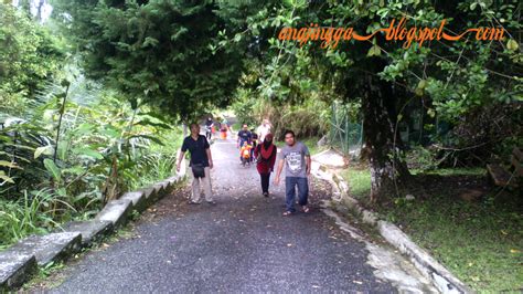 Seperti hal nya kalibiru, cendana juga menawarkan pemandangan waduk bukit cendana berlokasi di tegiri 2, hargowilis, kokap, kabupaten kulon progo, daerah istimewa yogyakarta 55653. Bukit Larut @ Maxwell Hill - Taiping - anajingga