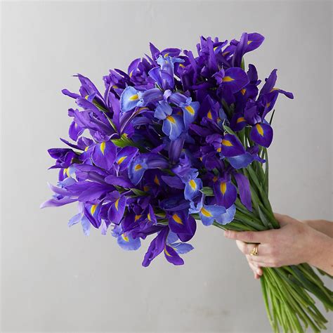 Home » 94% game » 94% something sold by the bunch answers. Fresh Iris Bunch | Spring flowers, Iris flowers, Faux flowers