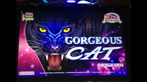 New Gorgeous Cat Slot Machine Bonus Win Konami Youtube