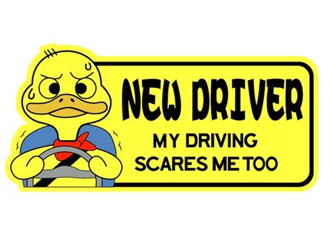 New Driver Sign Student Driver Decal Bumper Sticker Print And Cut Svg