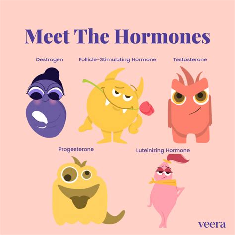 Know Oestrogen Progesterone And Other Hormones Veera Health