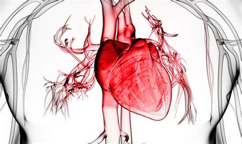 Heart Attack Symptoms More Likely With Fat In This Part Of The Body