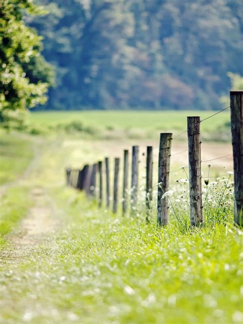 Free Download Nature Fence Fencing Meadow Grass Green Tree Foliage