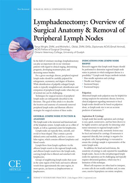 Pdf Lymphadenectomy Overview Of Surgical Anatomy And Removal Of
