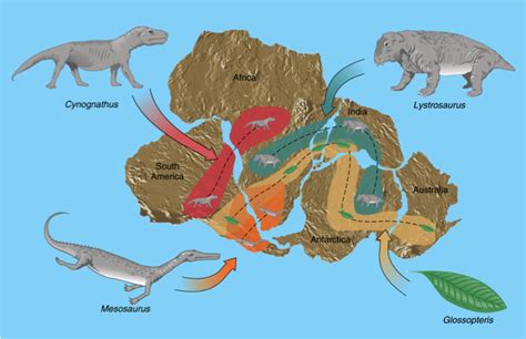 July 26 Blog Exploring The Long Lost Continent Of Zealandia