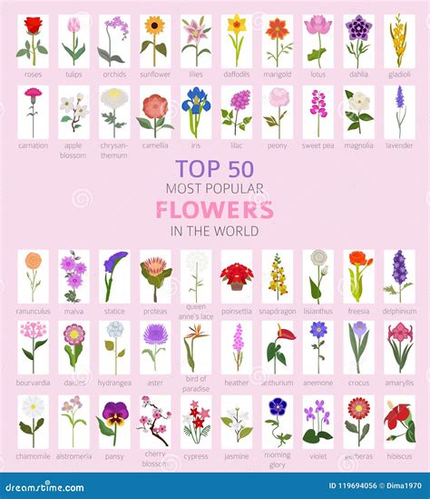 Votre Guide De Jardin Fleurs De Les Plus Populaires Du Principal