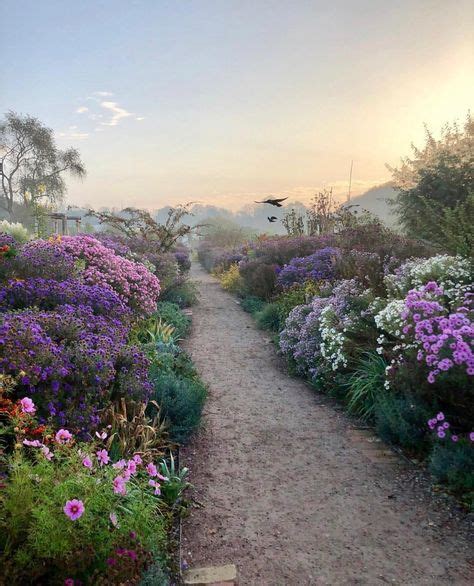 Akhirnya bunga krokot ini biasa disebut dengan bunga pukul sembilan atau moss rose. Kreatif Penataan Bunga Krokot Dll : Kreatif Penataan Bunga Krokot Dll Menanam Bunga Krokot Warna ...