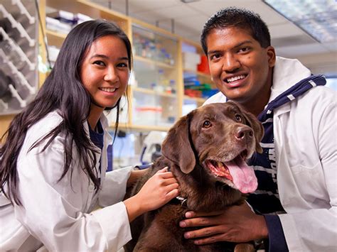 Colleges That Offer Veterinary Programs Near Me Infolearners