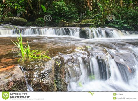 Waterfall And Rocks Covered With Moss Stock Photo Image Of Leaf