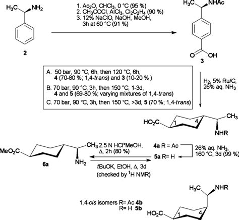 Scheme Synthesis Of R Aminoethyl Cyclohexanecarboxylic Acid Download Scientific