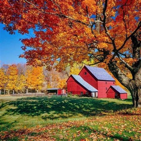 Pin By Becky Cagwin On Barns Rustic And New Autumn Landscape Red