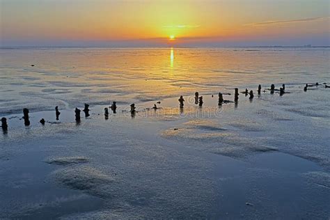 Aerial From Sunset At The Wadden Sea In The Netherlands Stock Image