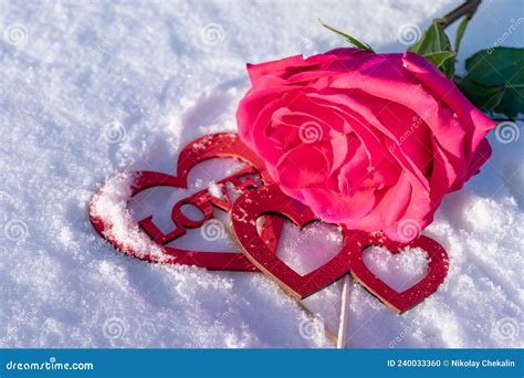 Passionate Love Message On Snow With Rose In Winter Stock Photo Image