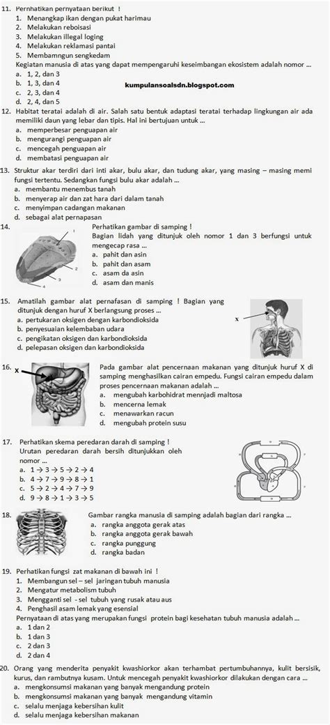 Desain soal latihan ini sebagai hasil pelatihan membuat soal online melalui blogspot. Soal Terusan Latihan UN IPA Kelas 6 SD TA 2013/2014 ...