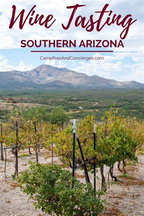 Tour Tucson Wineries In Arizona Wine Country Campfires And Concierges