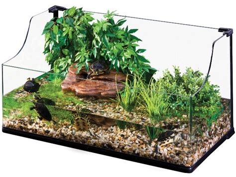Dutch style merupakan salah salah satu model aquascape yang sangat lama dan kuno. Desain Aquarium Air Tawar Model Terbaik Harga Murah Hingga ...