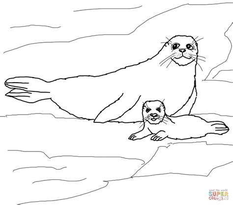 Fun coloring pages, color posters, worksheets, and handwriting … Baby Seal Coloring Pages - Coloring Home