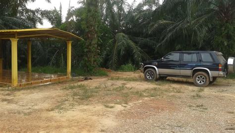 Agriculture land, gerisik, bukit gambir. Kuala Ketil 240-acre Oil Palm Estate - Freehold - Land for ...
