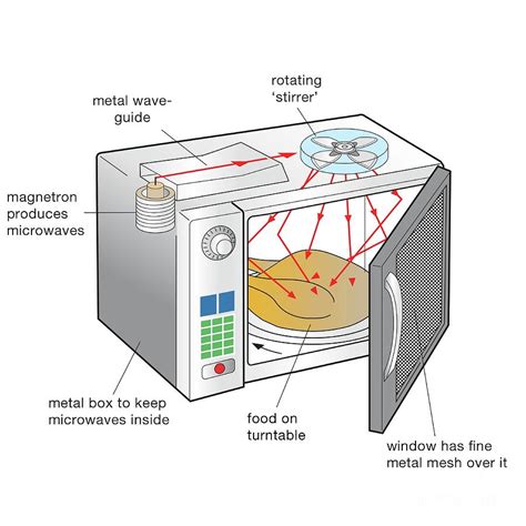 Microwave Oven Photograph By Science Photo Library Pixels