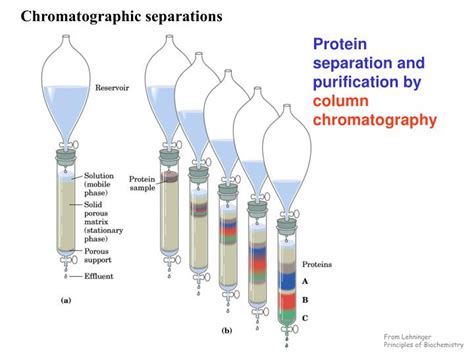 Separation and purification technology journal. PPT - Techniques of Protein Purification PowerPoint ...