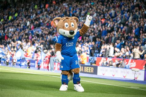 Here is another chance for leicester city fans to watch patson daka win a penalty through speed and sharpness, and also score his first foxes goal. Filbert Fox Drops By Local Nurseries & Leicester General ...