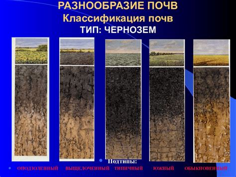 Чернозем: свойства и применение